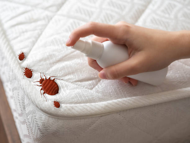 Best Best Pest Control Companies  in Parkland, FL